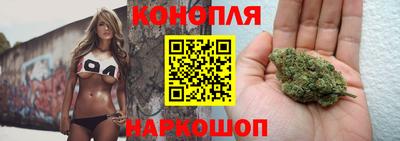 spice Вязники